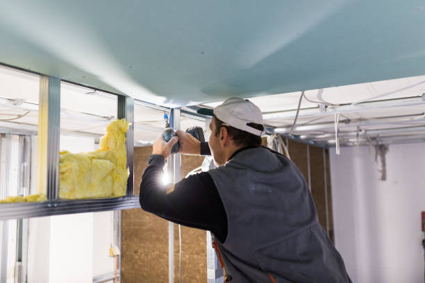 Best Residential Insulation in Tyler, MN